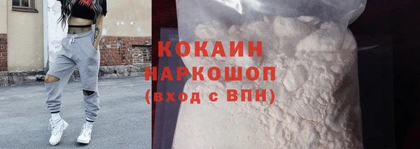 прущие грибы Аркадак