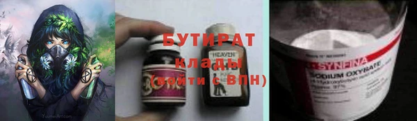 прущие грибы Аркадак