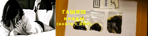 хмурый Арсеньев