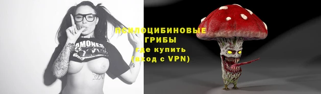 прущие грибы Аркадак