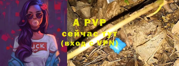 хмурый Арсеньев
