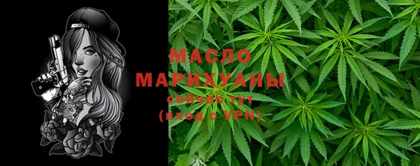 хмурый Арсеньев